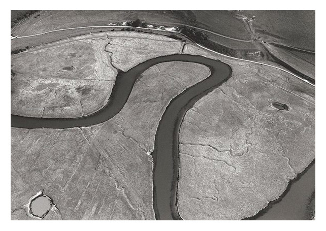 Cuckmere by John Holloway