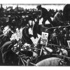 December Fat Stock Market by Clare Leighton