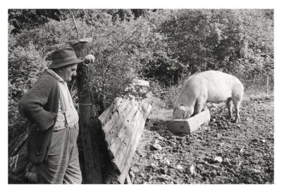 Eating from a Trough by James Ravilious