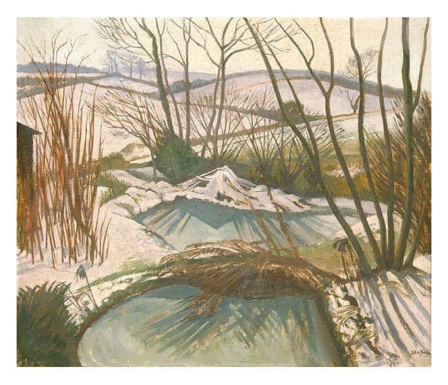 Frozen Ponds by John Nash