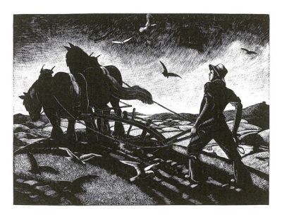 November Ploughing by Clare Leighton