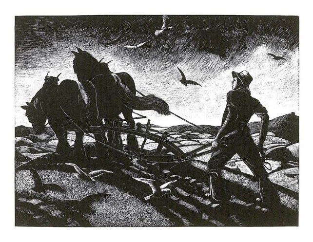November Ploughing by Clare Leighton