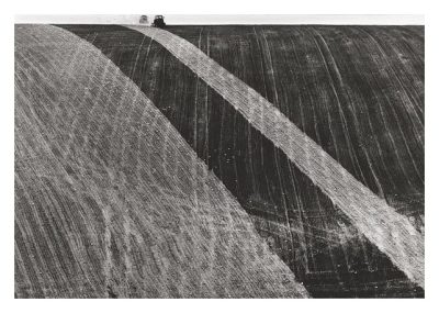 Ploughing Near Falmer by John Holloway
