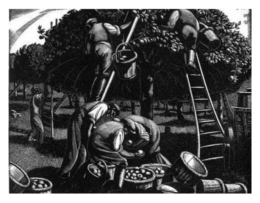 September Apple Picking by Clare Leighton