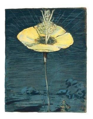 The Fairy Flower by William Nicholson