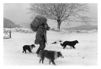 With Dogs in the Snow by James Ravilious