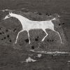 Alton Barns White Horse by unkown