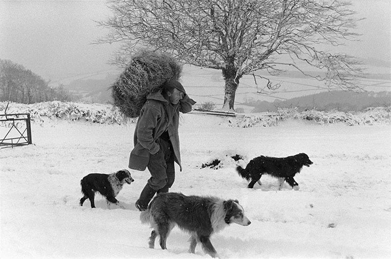 James Ravilious  With Dogs in the Snow by unkown