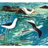 Avocet and Stilts By Rupert Shepard