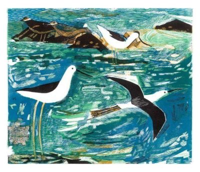 Avocet and Stilts By Rupert Shepard