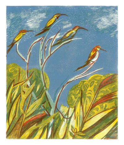 Bee Eaters By Rupert Shepard