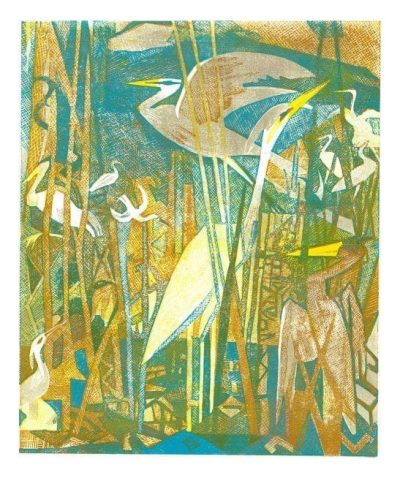 Herons By Rupert Shepard