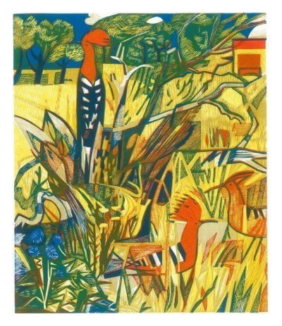 Hoopoes By Rupert Shepard