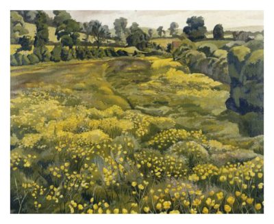 Buttercups in a Meadow By Stanley Spencer