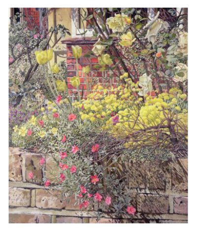 Rock Roses, Old Lodge, Taplow By Stanley Spencer