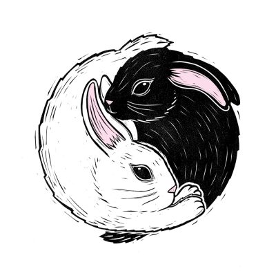 Bunny Yin Yang by J David Bennett