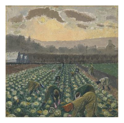 Sprout Picking, Monmouthshire By Evelyn Dunbar