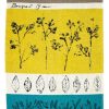 Bouquet Garni By Lucienne Day