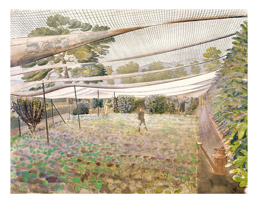Strawberry Nets by Eric Ravilious