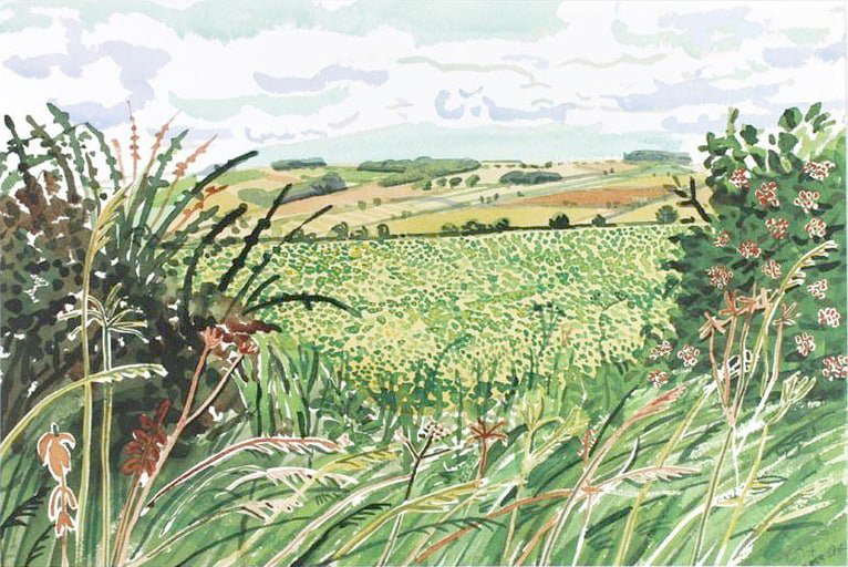 Gap in the Hedgerow by David Hockney