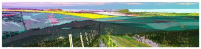 Spring breaks through - South Downs Way Panorama By Alej ez