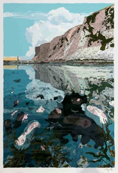 Chalk Piddocks at Beachy Head By Alej ez