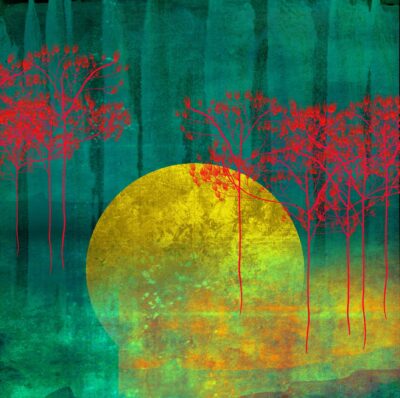 Cold Moon By Sarah Arnett